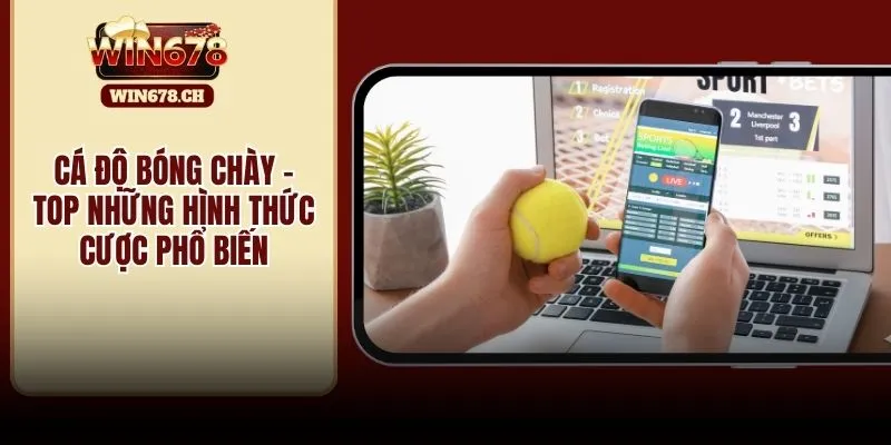 cá độ bóng chày