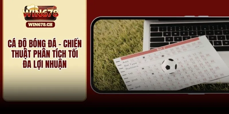 cá độ bóng đá
