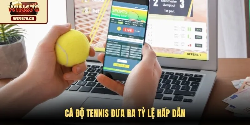 Cá độ tennis đưa ra tỷ lệ hấp dẫn