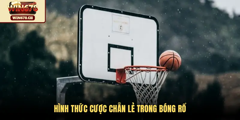 Hình thức cược chẵn lẻ trong bóng rổ