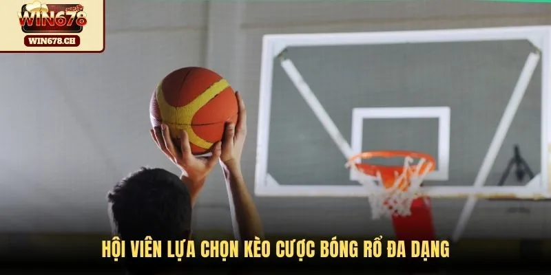 Hội viên lựa chọn kèo cược bóng rổ đa dạng