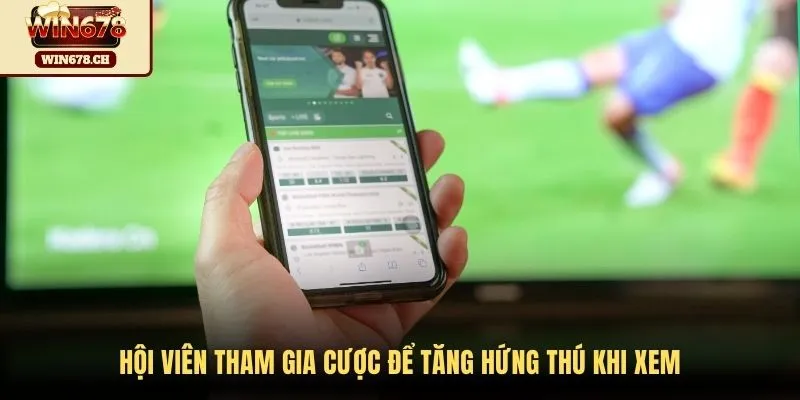 Hội viên tham gia cược để tăng hứng thú khi xem