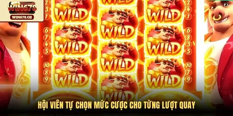 Hội viên tự chọn mức cược cho từng lượt quay