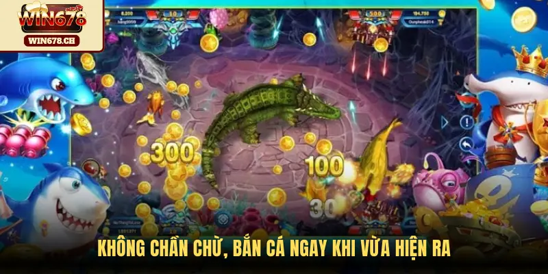 Không chần chừ, bắn cá ngay khi vừa hiện ra
