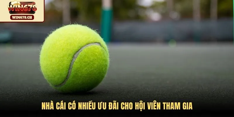 Nhà cái có nhiều ưu đãi cho hội viên tham gia