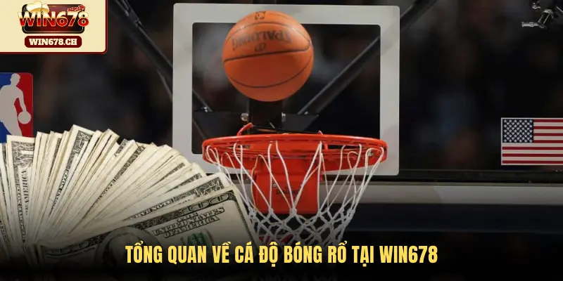 Tổng quan về cá độ bóng rổ tại WIN678